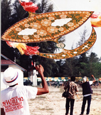 sllimphotographypage2